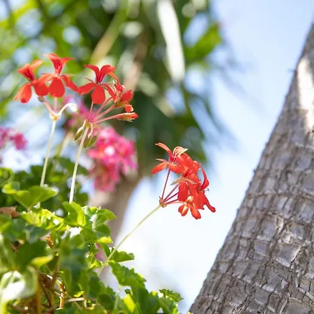 La Lantana Villa Marina di Ragusa
