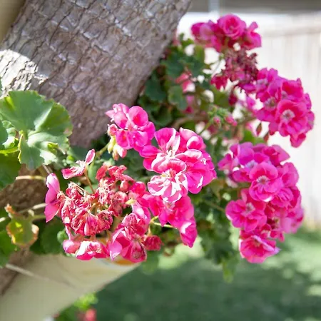 La Lantana Villa Marina di Ragusa